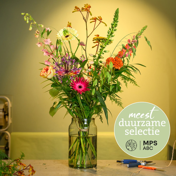 Groen Gekeurd zomer hover